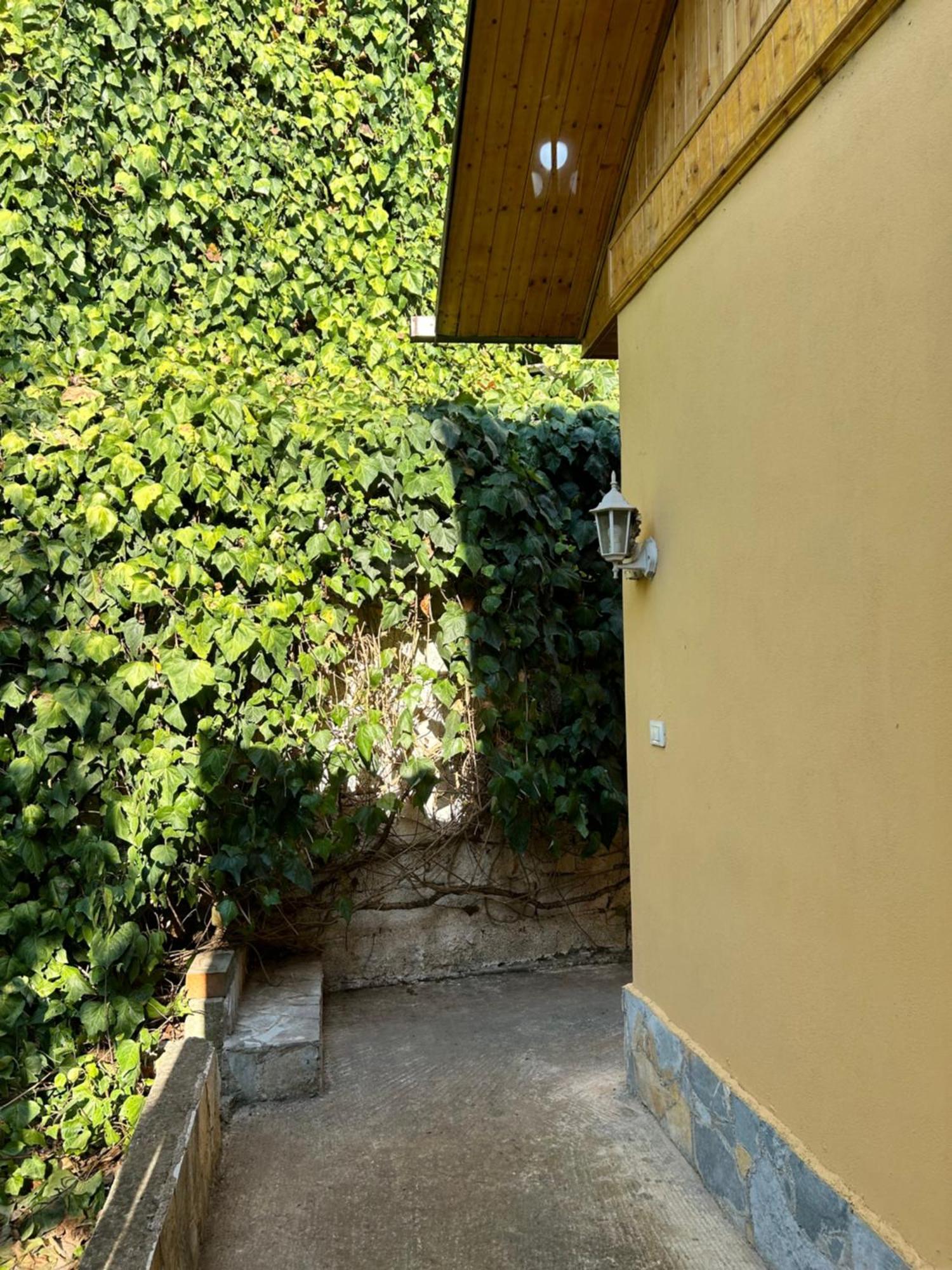 D1 Hostel Tiranë Ngoại thất bức ảnh