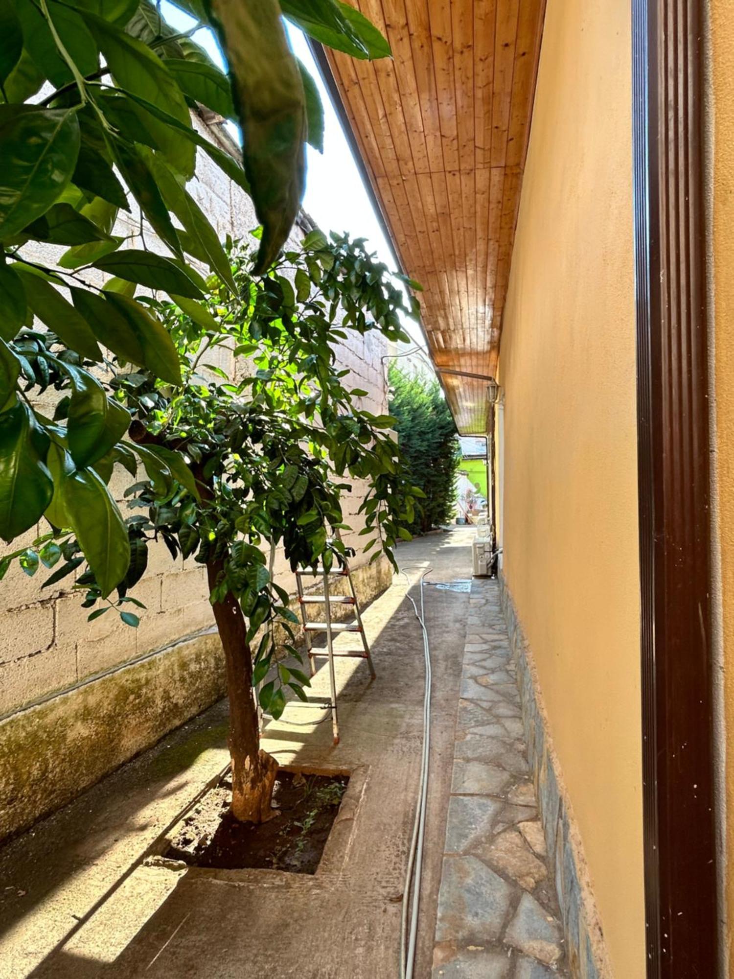 D1 Hostel Tiranë Ngoại thất bức ảnh