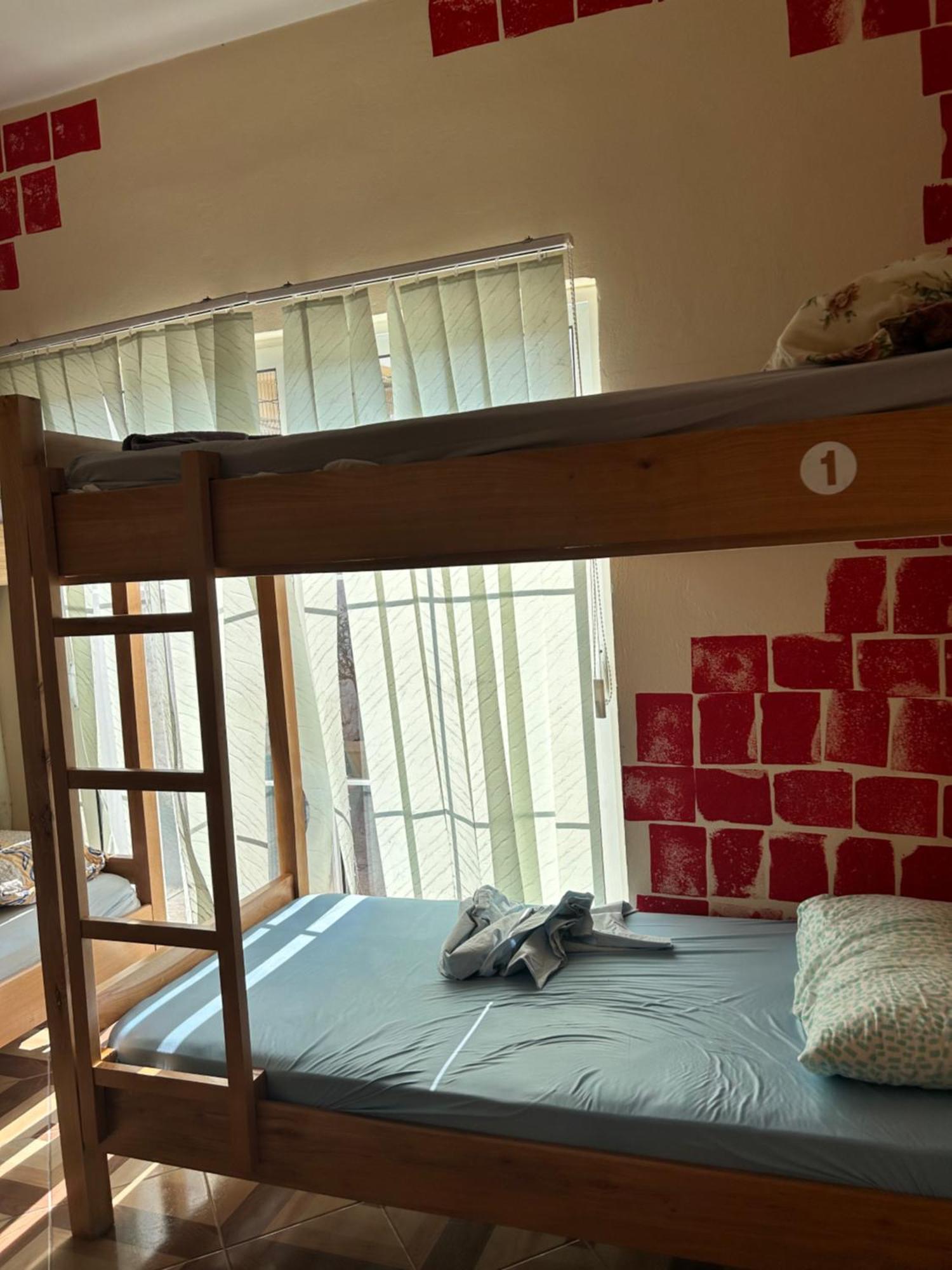 D1 Hostel Tiranë Ngoại thất bức ảnh